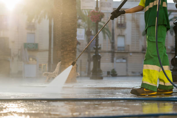 Professional Pressure Washing Services in Mount Rainier, MD